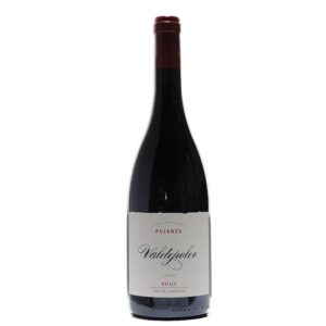 Pujanza Valdepoleo 2019 delantera