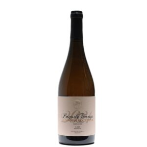 Pago de Tharsys Vendimia Nocturna Garnacha Eco delantera