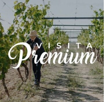 Visita Premium Pago de Tharsys