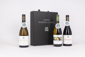 Lote Navideño Nº 115 con Cepas Viejas y vinos Godello Dominio de Tares en estuche de 3 botellas