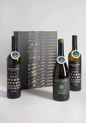Lote Navideño Nº 117 con Albariño Nice to Meet You y Sin Palabras Castrobrey en estuche de 3 botellas